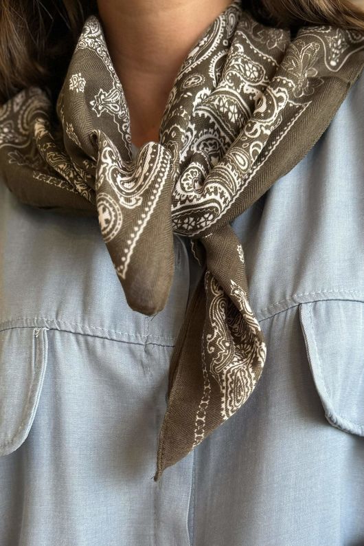 Arizona Classic Bandana Mud *